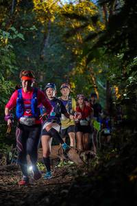 BIB: 
                            <button type="button" onclick="openModal(19234014)" class="btn btn-primary btn-sm float-right btn-popup" data-toggle="modal" data-target=".modal-high-quality">
                        <i class="fas fa-shopping-cart"></i> Add to Cart
                    </button>
                                            <button type="button" onclick="isThisMe(19234014, true)" class="btn btn-success btn-sm float-right btn-popup btn-isme hidden" data-toggle="tooltip" data-placement="bottom" title="นี่คือรูปของคุณใช่ไหม คลิกที่นี่เพื่อเอาเข้าอัลบั้ม">
                        <i class="fas fa-plus"></i> Add to album
                    </button>
                    <button type="button" onclick="isThisMe(19234014, false)" class="btn btn-warning btn-sm float-right btn-popup btn-isnotme hidden">
                        <i class="fas fa-ban"></i> Remove from album
                    </button>